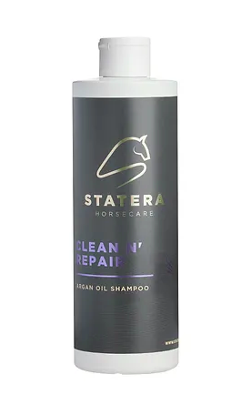 Statera Clean´n Repair 500 ml 